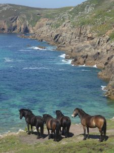 Read more about the article Guided walking break in Cornwall: the cult of the fruitcake festival