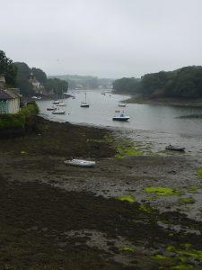 Read more about the article Fal River Autumn Walking Festival