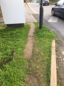Read more about the article Desire Lines or Desire Paths