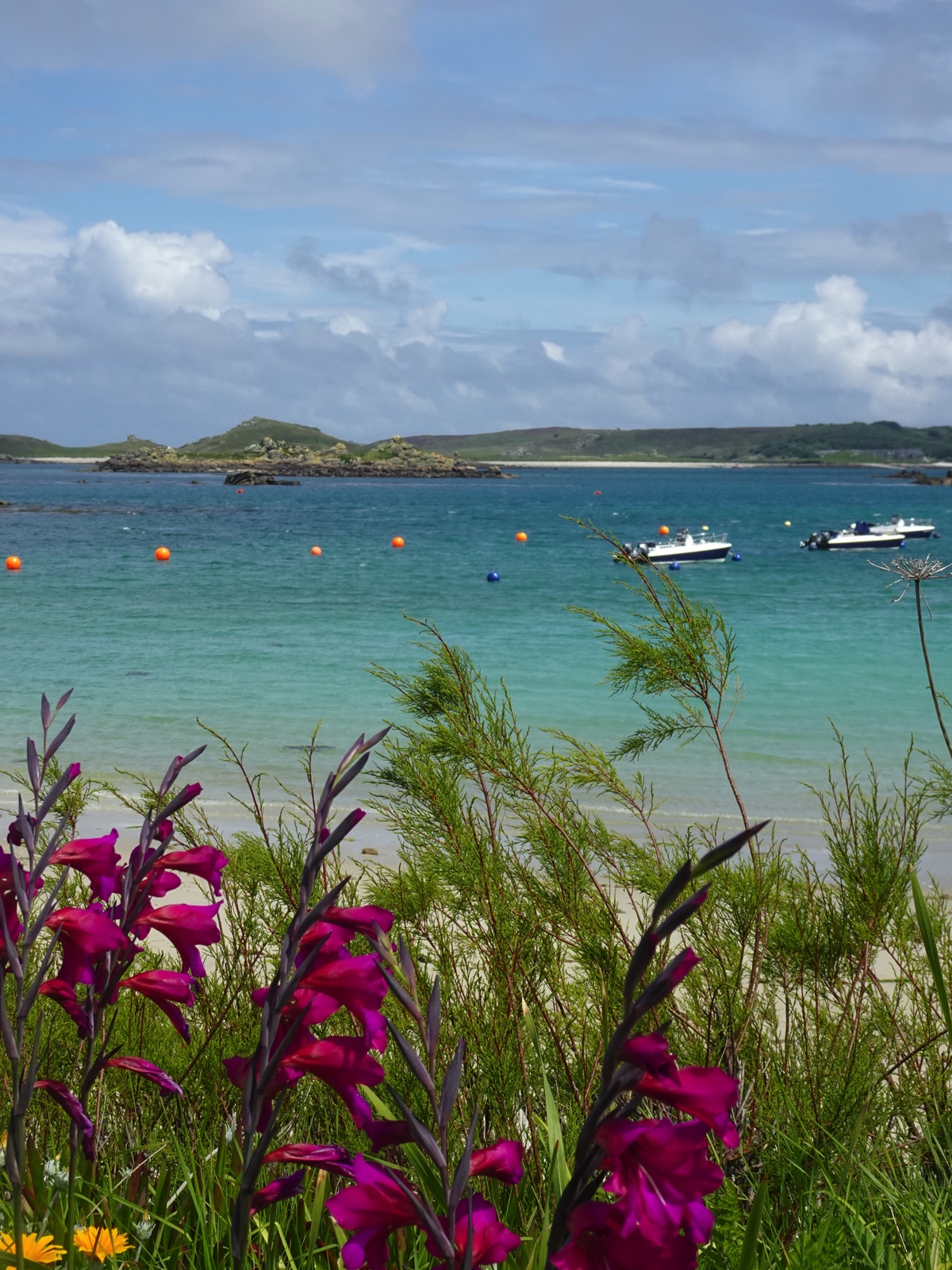 Scilly Isles Computer Background The Isles of Scilly guided walking holiday - Walk It Cornwall